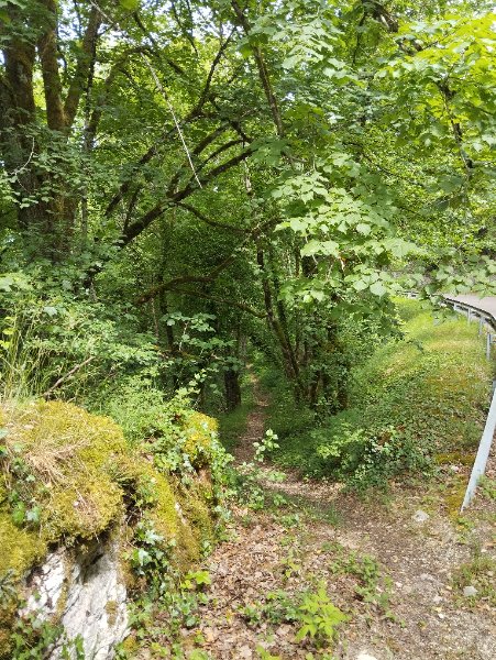 Antheuil - grotte de la route - photo environnement entrée cavité, Aurélien Bloch.jpg
Point de repère : départ sentier descendant au village.
Fichier manquant